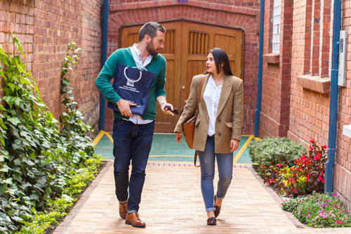 POSGRADOS visual data 5